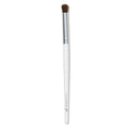BLENDING EYE